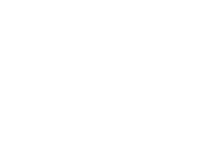 Texas Screen It